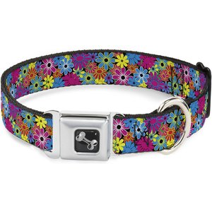 Buckle-Down Metal Seatbelt Buckle Flower Blossom Print Polyester Dog Collar, Medium: 11 to 16.5-in neck, 1-in wide