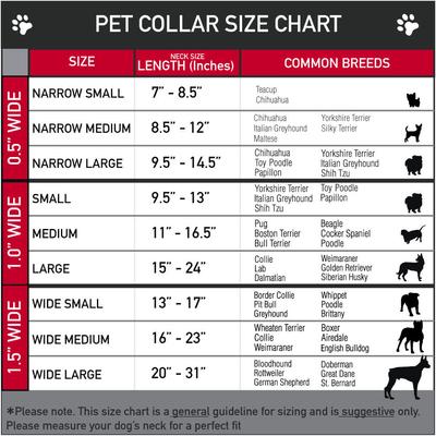 Show full view: Buckle-Down Holly & Mistletoe Dog Collar, Small slide 9 of 9
