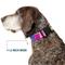 Show in main carousel: Buckle-Down Mattel Barbie Script Signature Logo Abstract Plastic Buckle Polyester Dog Collar, Medium: 11 to 16.5-in neck, 1-in wide slide 7 of 9