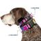 Show in main carousel: Buckle-Down Mattel Barbie Script Signature Logo Abstract Plastic Buckle Polyester Dog Collar, Medium: 11 to 16.5-in neck, 1-in wide slide 2 of 9