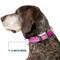 Show in main carousel: Buckle-Down Mattel Barbie Script Signature Logo Abstract Metal Seatbelt Buckle Polyester Dog Collar, Wide Medium: 16 to 23-in neck, 1.5-in wide slide 8 of 10