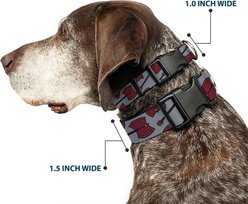 Buckle-Down Cartoon Network Adventure Time Marceline's Axe Bass Guitar Scattered Gray Plastic Buckle Polyester Dog Collar, Large: 15 to 24-in neck, 1-in wide slide 2 of 9