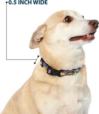 Show full view: Buckle-Down Cartoon Network Adventure Time Lady Raincorn Poses Stripe Rainbow Plastic Buckle Polyester Dog Collar, Medium: 11 to 16.5-in neck, 1-in wide slide 8 of 9