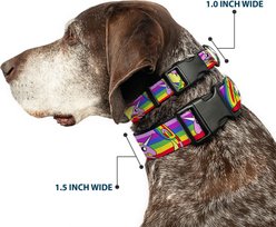 Buckle-Down Cartoon Network Adventure Time Lady Raincorn Poses Stripe Rainbow Plastic Buckle Polyester Dog Collar, Small: 9.5 to 13-in neck, 1-in wide slide 2 of 9