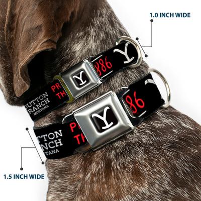 Show full view: Buckle-Down Paramount Network Yellowstone Dutton Ranch 1886 Icons Metal Seatbelt Buckle Polyester Dog Collar, Wide Large: 20 to 31-in neck, 1.5-in wide slide 3 of 10