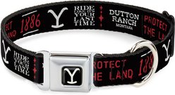 Buckle-Down Paramount Network Yellowstone Dutton Ranch 1886 Icons Metal Seatbelt Buckle Polyester Dog Collar, Wide Large: 20 to 31-in neck, 1.5-in wide