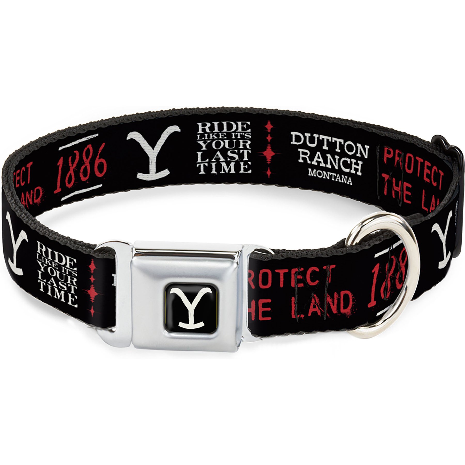 Buckle-Down Paramount Network Yellowstone Dutton Ranch 1886 Icons Metal Seatbelt Buckle Polyester Dog Collar, Wide Large: 20 to 31-in neck, 1.5-in wide