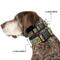 Show in main carousel: Buckle-Down Nickelodeon Ninja Turtles Battle Foot Soldiers Video Game Scene Plastic Buckle Polyester Dog Collar, Large: 15 to 24-in neck, 1-in wide slide 2 of 9