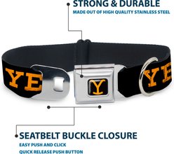 Buckle-Down Paramount Network Yellowstone Text & Y Logo Metal Seatbelt Buckle Polyester Dog Collar, Weathered Black/Orange, Wide Small: 13 to 17-in neck, 1.5-in wide slide 2 of 9