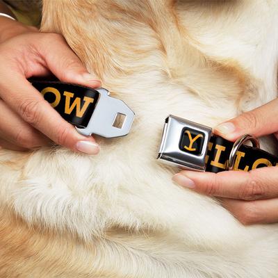 Show full view: Buckle-Down Paramount Network Yellowstone Text & Y Logo Metal Seatbelt Buckle Polyester Dog Collar, Weathered Black/Orange, Medium: 11 to 16.5-in neck, 1-in wide slide 8 of 9