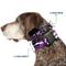 Show in main carousel: Buckle-Down Plastic Buckle Polyester Dog Collar, Camo Purple/Black/White, Wide Small: 13 to 17-in neck, 1.5-in wide slide 2 of 10