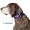 Show in main carousel: Buckle-Down Plastic Buckle Polyester Dog Collar, Camo Purple/Black/White, Wide Small: 13 to 17-in neck, 1.5-in wide slide 7 of 10