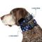 Show in main carousel: Buckle-Down Plastic Buckle Snowflakes Print Polyester Dog Collar, Blue/White, Wide Small: 13 to 17-in neck, 1.5-in wide slide 2 of 10