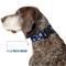 Show in main carousel: Buckle-Down Plastic Buckle Snowflakes Print Polyester Dog Collar, Blue/White, Wide Small: 13 to 17-in neck, 1.5-in wide slide 7 of 10