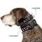 Show in main carousel: Buckle-Down Plastic Buckle Skulls Stars Print Polyester Dog Collar, Black/White/Pink, Medium: 11 to 16.5-in neck, 1-in wide slide 2 of 9
