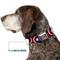 Show in main carousel: Buckle-Down Captain America Shield Seatbelt Buckle Dog Collar, Medium slide 8 of 12