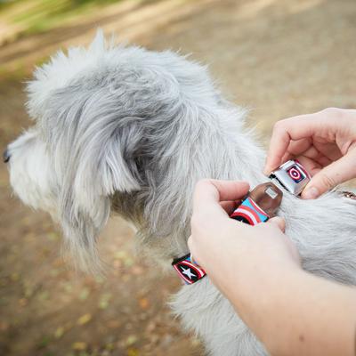 Show full view: Buckle-Down Captain America Shield Seatbelt Buckle Dog Collar, Medium slide 10 of 12