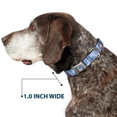 Show full view: Buckle-Down Disney Winnie the Pooh Eeyore Text & Expression Close Up Dot Metal Seatbelt Buckle Polyster Dog Collar, Blue, Small: 9.5 to 13-in neck, 1-in wide slide 6 of 9