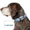 Show in main carousel: Buckle-Down Disney Winnie the Pooh Eeyore Text & Expression Close Up Dot Metal Seatbelt Buckle Polyster Dog Collar, Blue, Small: 9.5 to 13-in neck, 1-in wide slide 7 of 9