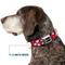 Show in main carousel: Buckle-Down Peanuts Snoopy & Woodstock Poses Scattered Metal Seatbelt Buckle Polyster Dog Collar, Red, Large: 15 to 24-in neck, 1-in wide slide 7 of 9