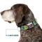 Show in main carousel: Buckle-Down Grateful Dead Dancing Bears Swirl Metal Seatbelt Buckle Polyster Dog Collar, Multicolor, Medium: 11 to 16.5-in neck, 1-in wide slide 7 of 10