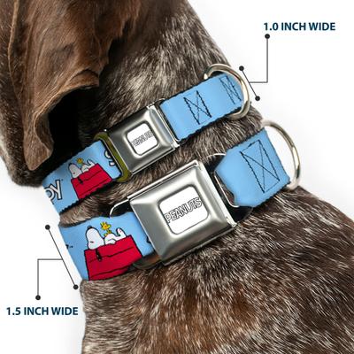 Show full view: Buckle-Down Peanuts Worldwide LLC Snoopy & Woodstock Dog House Metal Seatbelt Buckle Dog Collar, Sky Blue, Large: 15 to 24-in neck, 1-in wide slide 3 of 10