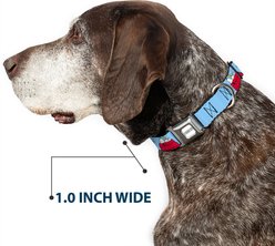 Buckle-Down Peanuts Worldwide LLC Snoopy & Woodstock Dog House Metal Seatbelt Buckle Dog Collar, Sky Blue, Medium: 11 to 16.5-in neck, 1-in wide slide 2 of 9