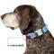 Show in main carousel: Buckle-Down Peanuts Worldwide LLC Snoopy & Woodstock Dog House Metal Seatbelt Buckle Dog Collar, Sky Blue, Large: 15 to 24-in neck, 1-in wide slide 8 of 10