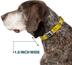 Buckle-Down Peanuts Worldwide LLC Snoopy Smiling Metal Seatbelt Buckle Dog Collar, Yellow/Black/White, Small: 9.5 to 13-in neck, 1-in wide slide 2 of 7