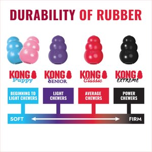 KONG Classic Dog Toy, Large