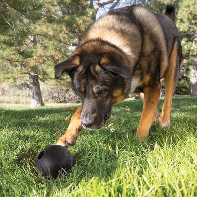 Show full view: KONG Extreme Ball Dog Toy, Black, Large slide 2 of 12