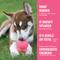 Show in main carousel: KONG Puppy Chew Dog Toy, Pink, Large slide 9 of 12