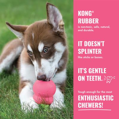 Show full view: KONG Puppy Chew Dog Toy, Pink, Large slide 9 of 12