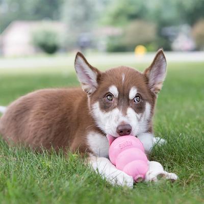 Show full view: KONG Puppy Chew Dog Toy, Pink, Large slide 2 of 12