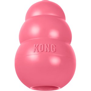 KONG Puppy Chew Dog Toy