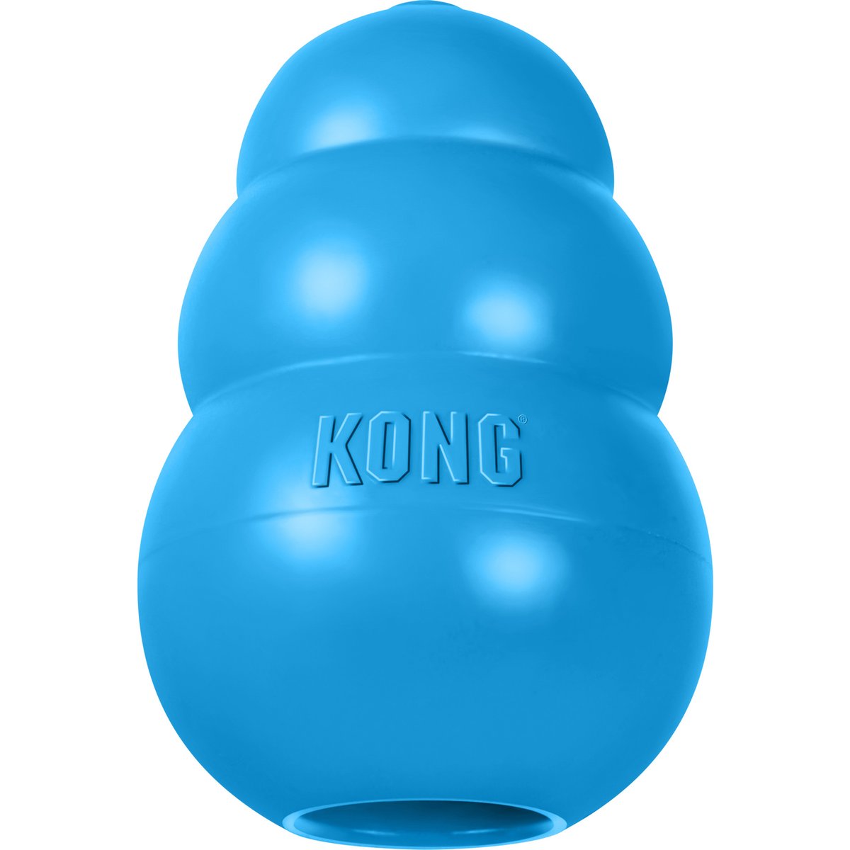 KONG Puppy Chew Dog Toy, Blue, Small