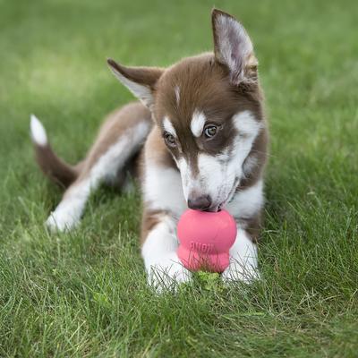 Show full view: KONG Puppy Chew Dog Toy, Pink, Medium slide 2 of 12