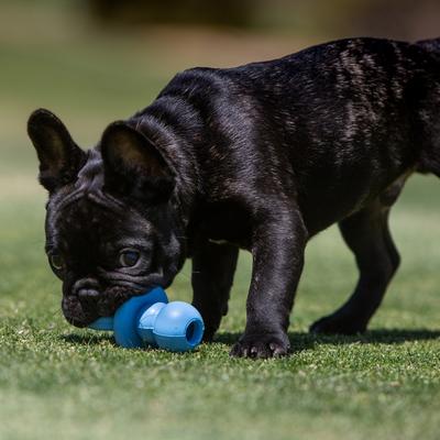 Show full view: KONG Puppy Binkie Chew Dog Toy, Blue, Small slide 2 of 12