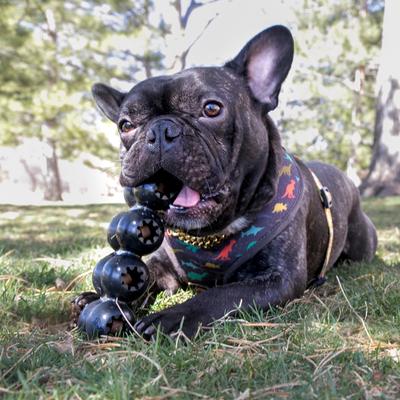 Show full view: KONG Extreme Goodie Ribbon Dog Chew Toy, Large slide 3 of 12