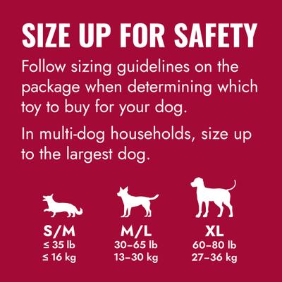 Show full view: KONG Ring Dog Toy, Small/Medium slide 5 of 11