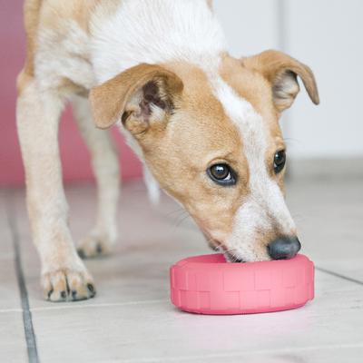 Show full view: KONG Puppy Tires Dog Toy, Color Varies, Small slide 3 of 13