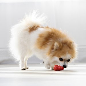 KONG Classic Dog Toy, X-Small