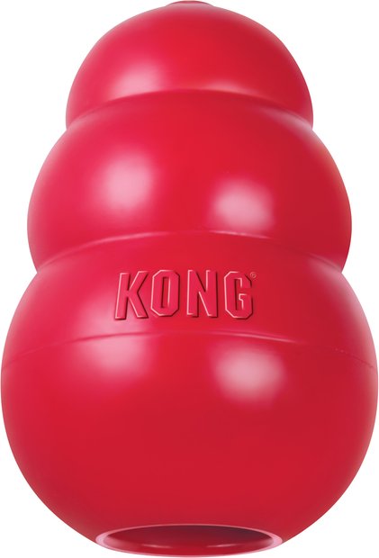 KONG DOG TOYS (Free Shipping) | Chewy