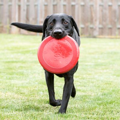 Show full view: KONG Classic Flyer Dog Toy, Small slide 2 of 12