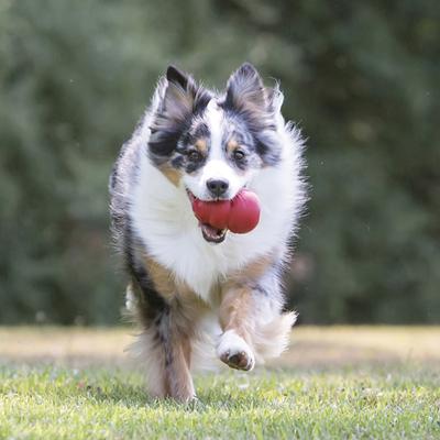 Show full view: KONG Classic Dog Toy, X-Large slide 2 of 12