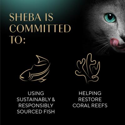 Show full view: Sheba Selections Filets in Broth Chicken & Tuna Recipe Grain-Free Cat Meal Complement, 1.3-oz tray, case of 12 slide 9 of 11