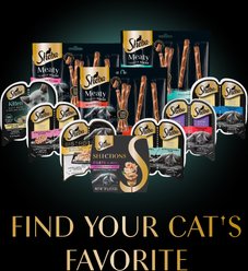 Sheba Selections Filets in Broth Chicken & Shrimp Recipe Grain-Free Cat Meal Complement, 1.3-oz tray, case of 12 slide 2 of 9