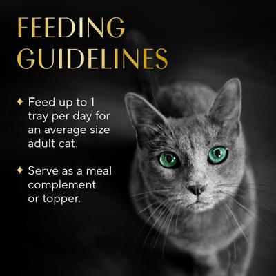 Show full view: Sheba Selections Filets in Broth Chicken with Tuna & Chicken with Shrimp Variety Pack Grain-Free Cat Meal Complement, 1.3-oz tray, case of 24 slide 7 of 10