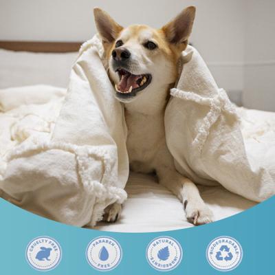 Show full view: Replenish Aloe & Oatmeal Dry Flaky Skin Treatment Dog Shampoo, Pina Colada Scent, 12-fl oz bottle slide 9 of 9