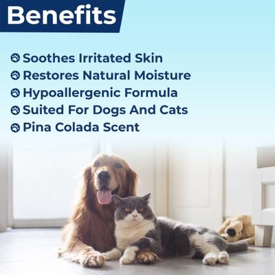 Show full view: Replenish Aloe & Oatmeal Dry Flaky Skin Treatment Dog Shampoo, Pina Colada Scent, 12-fl oz bottle slide 3 of 9